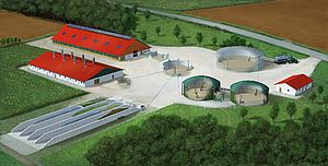 Digestione anaerobica di reflui e biomasse: metodi e tecniche per la produzione di biogas