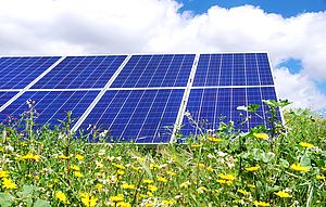 Alimentare un futuro più verde con le celle fotovoltaiche