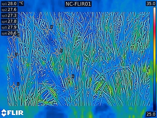 La FLIR AX8 produce immagini termiche da 80 x 60 pixel unitamente a informazioni sulla temperatura