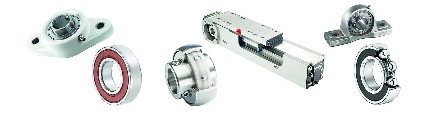 Cuscinetti Serie SENTINEL