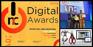 Usag riceve il terzo premio per "Forza d'acciaio" agli NC Digital Awards 2013