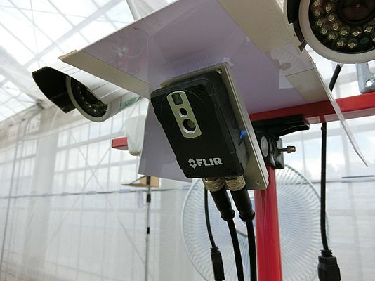 La termocamera FLIR AX8 osserva continuamente la condizione delle colture