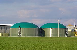 Utilizzo di cuscinetti radiali rigidi a sfere in impianto a biogas