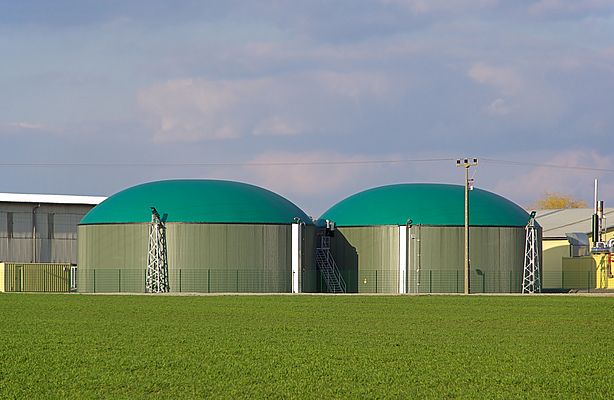 Gli impianti a biogas presentano condizioni ambientali sfavorevoli per i normali cuscinetti volventi, soprattutto nelle aree di lavorazione degli scarti vegetali