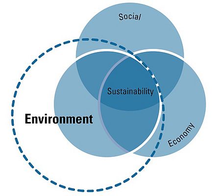 Figura 4 - Tematiche classificate sotto l'aspetto sociale della sostenibilità