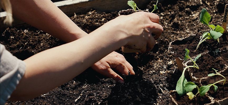 Radisson Blu Scandinavia uses Solserv composting technology, which is based on Mitsubishi Electric automation solutions. Source: Mitsubishi Electric x Solserv x Radisson Blu