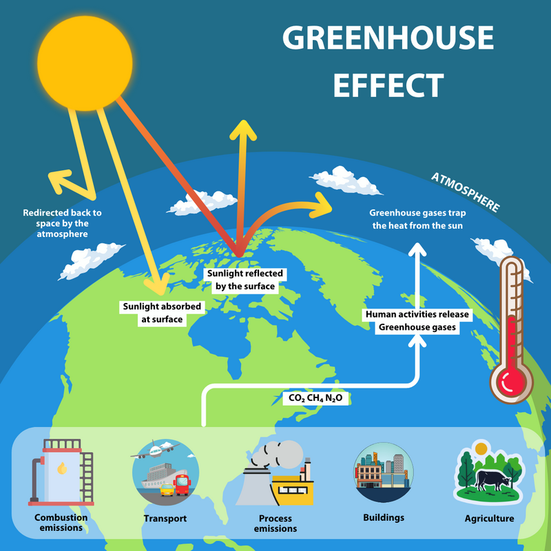 Accurate Greenhouse Gas Monitoring for Carbon Capture and Storage Processes