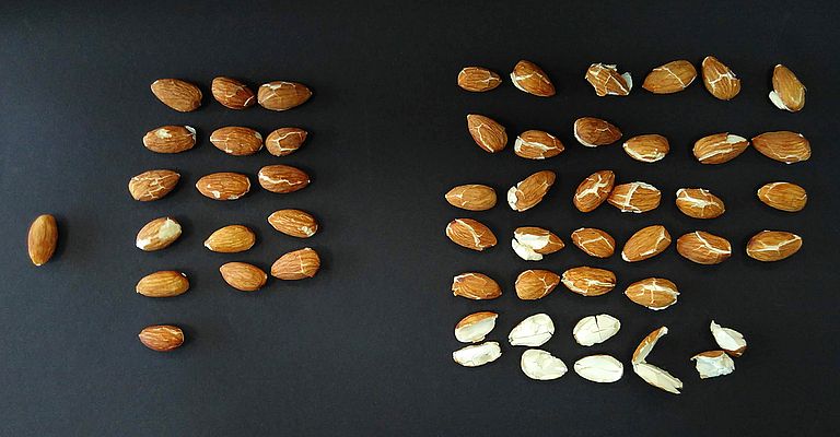 3: These almonds have been treated in a high-pressure autoclave. Pressure build-up and pressure reduction speed is a decisive factor in maintaining the quality.
