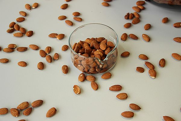 Almonds contaminated with salmonella can cause food poisoning. © Karen Fuchs/Fraunhofer UMSICHT