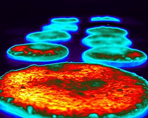 Thermal Imaging in the Food Industry