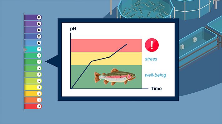 Constant pH value for healthy growth of the fish. (ProMinent)