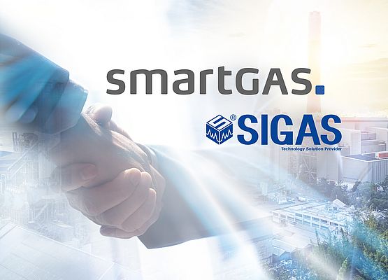 Strategic Merger in the Field of Gas Sensors and Analyzers