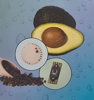 From Assumption to Measurable Proof