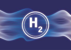 Scaling Up the Hydrogen Economy