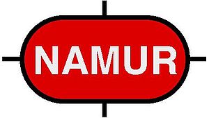 NE 150 Standardised NAMUR-interface
