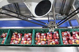 Hyperspectral Imaging as Chance to Improve Food Inspection Quality at Automated Food Lines