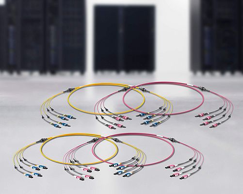 Système de câblage multifibres avec interfaces de connexion