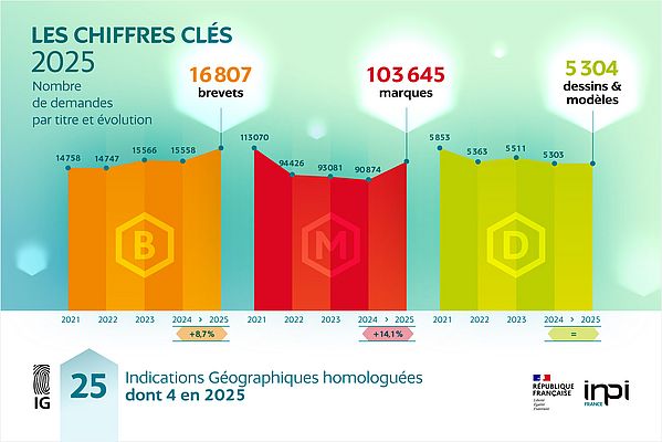 Chiffres Clés 2025 - INPI